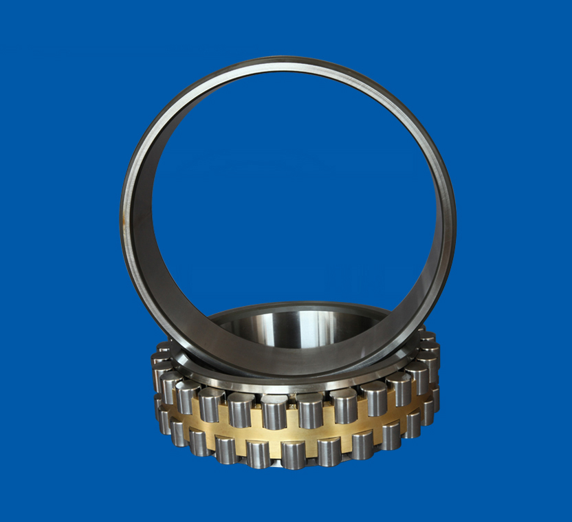 Double Row Cylindrical Roller Bearings
