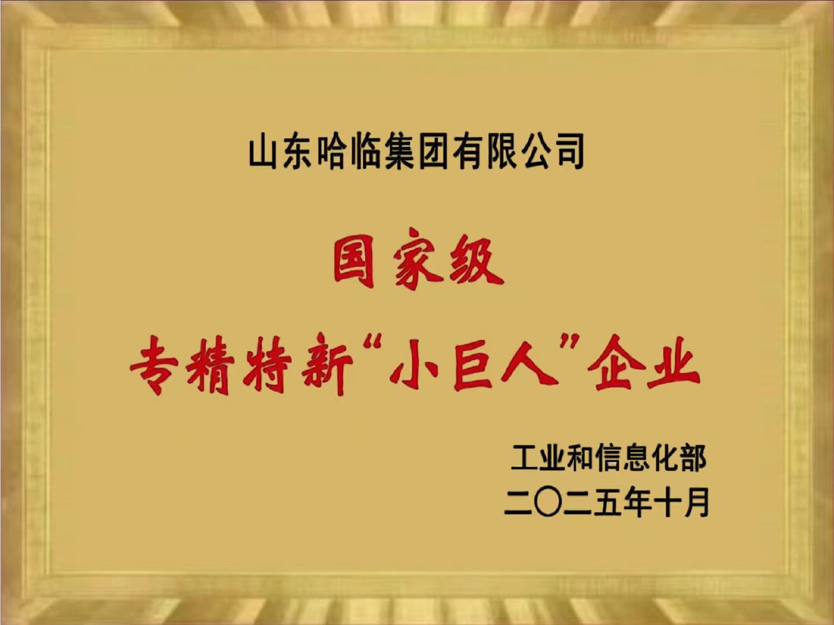 Step towards a new level! Warm congratulations to our company for winning the title of National-Level 