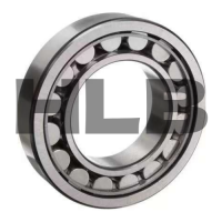 Single Row Cylindrical Roller Bearings