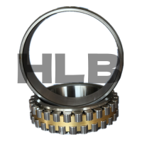 Double Row Cylindrical Roller Bearings